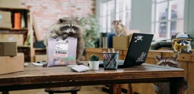 racoons in a home office taking return packages